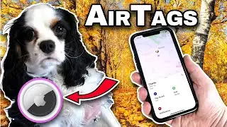 Apple AIRTAGS - Do They Work for Pets?