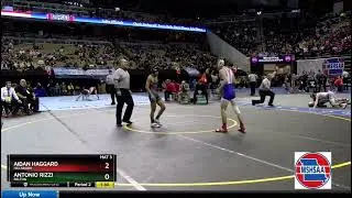 Antonio Rizzi Belton vs Aidan Haggard Hillsboro