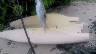 Shore Casting with Duo in the Mauritius lagoon