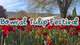 Come with Me to the Bowral Tulip Festival | Spring Blooms & Beautiful Garden Walk 