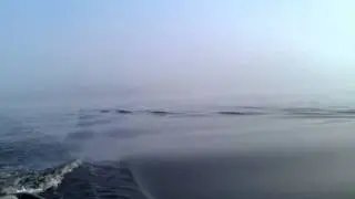 Fog on mentieth
