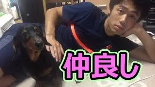 初登場のわんちゃんと仲良く遊んでみた!!