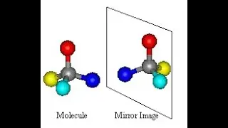 BC302-Amino Acids-04