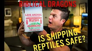 Shipping Dragons