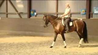 Philippe Karl School of Legerete DVD 1