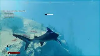 Hard to get Sapphire Bay Nutrient Caches Maneater