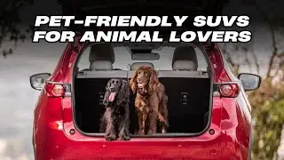 Top 10 Pet-Friendly SUVs for Animal Lovers