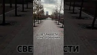 РАДОСТЬ И ОГОРЧЕНИЕ, Мудрость