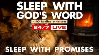 God stays near in the stillness. Bible verses about protection offer peace.