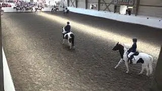 Blijf Gericht Nederlands kampioenschap Carrousel 2025 -   Bleijenberg's Young Spirit