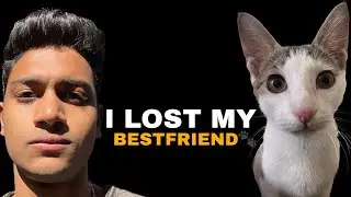 I LOST MY PET - FINDING STRENGTH FOR CAREER ❤️
