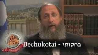 Weekly Torah Portion: Bechukotai