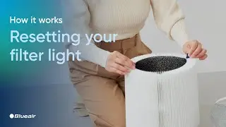 How to reset the Blue Pure Max Filter Light