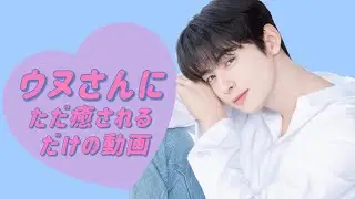 【ASTRO】顔天才ウヌさんにただひたすら癒されるだけの動画【プチ日本語字幕】