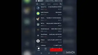 How to check any token balance if not  showing on Trust Wallet