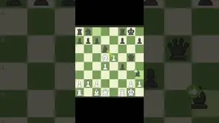 bobby fischer 🆚 computer 🖥️ #chess #chessgame  #brilliant