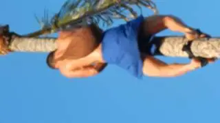 treeclimb