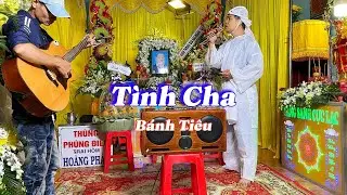 Tình Cha - Bánh Tiêu - Ca Khúc Tiễn Ba Đi Lần Cuối 
