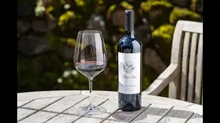 Stags' Leap Winery The Leap Cabernet Sauvignon Tasting Video