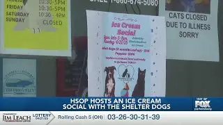 HSOP Ice cream social