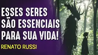 OS DEVAS e os ELEMENTAIS como se CONECTAR COM ELES?