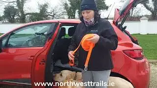 Mantrailing Dog Sport - what you need
