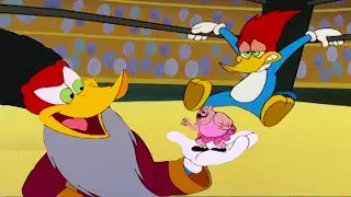 Pica-Pau, o Lutador de Wrestling | Pica-Pau em Portugu&ecirc;s
