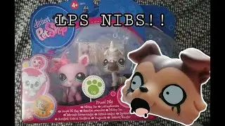 LPS NIB Review!! | WembleyLPS