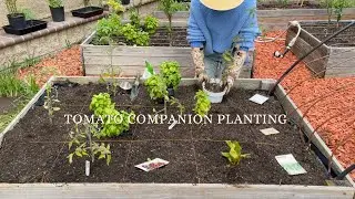 WHAT IM PLANTING IN MY SQUARE FOOT GARDEN + HOW I'M COMPANION PLANTING