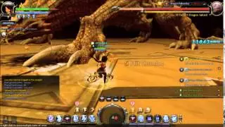 Dragon Nest Sea - Desert Dragon Stage - Dragon Fellowship