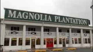 WONDERINGS: Ky to Magnolia Plantation gas station then home to Fla. 