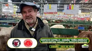 GUSTAVO CAPPELLO -CABA&Ntilde;A 