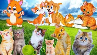 Sound of familiar animals. Learn about kittens. Sounds of cats meow. Kittens meow.