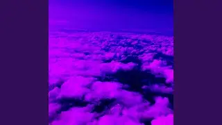 Flight