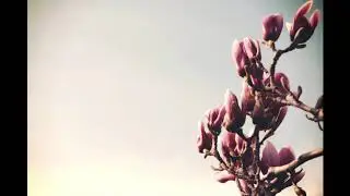 Ludovico Einaudi - Ascent (Day 4)