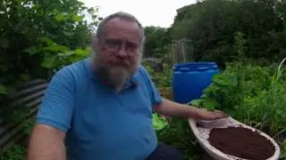 Wild Baby Elephants, Mystery Allium, Backups, Toilets & Broodballs GiveAway - Jasons Jungle 4/7/20