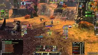 Rift 2.5 TacBard PVP Heals