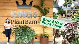 NZ PLANT SHOP TOUR 🌱 Kings Plant Barn | Stonefields