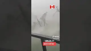 1 сентября 2023 г.
