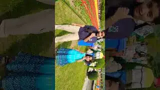 Gulabi sadi #sistervlog #shortvideo #trending ##srinagar