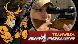Air Power - Daystate Huntsman Regal Review