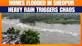Sheopur Flooded After Heavy Rain | Water Enters Homes, Locals Struggle in Madhya Pradesh | News9