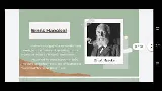 Ecologism (vid report)