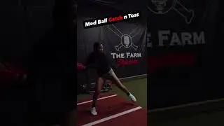 The Farm Med Balls 🔥 2 & 4 lb options! Build rotational power and build good patterns!