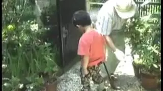 バラの木を切る