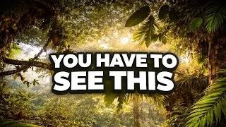 They have a mini jungle inside their museum. - Part 2