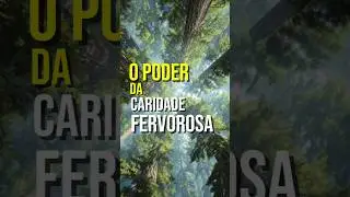 O Poder da Caridade Fervorosa: Servir e Amar Sem Limites