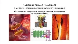 Chapitre 1-4 La réception du message chimique (hormones et neurotransmetteurs)