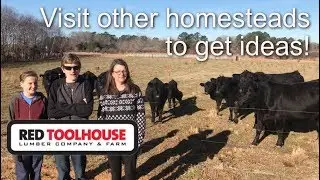 Ep86: Before you homestead visit other homesteads to find ideas