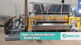 Apple Tray Making Machine - Beston Group